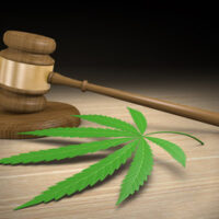 Picture of marijuana next to gavel illustrates the recently passed prop 64 or legalization of weed Picture of marijuana next to gavel illustrates the recently passed prop 64 or legalization of weed